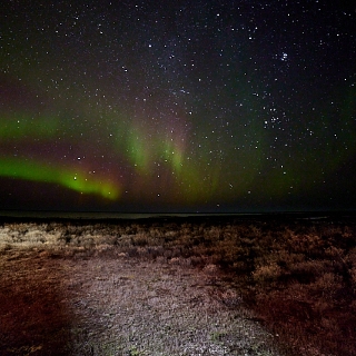 Aurora-026