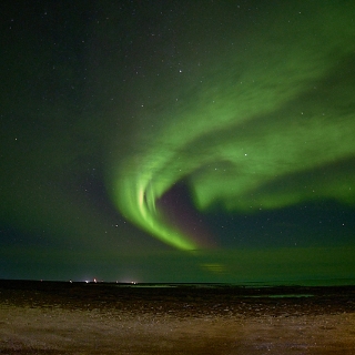 Aurora-031