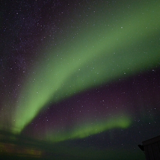 Aurora-041