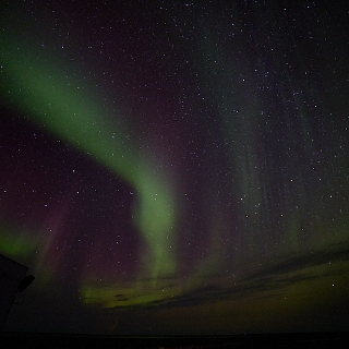 Aurora-043