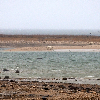 RestingArea-055