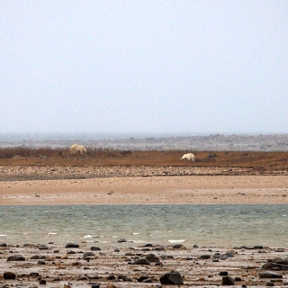 RestingArea-092