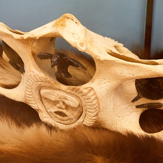 Museum-009