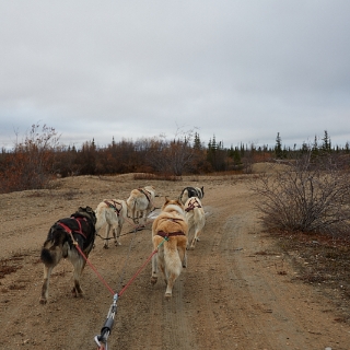 WapuskAdventures-016