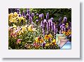 SerenityGardens * (179 Slides)