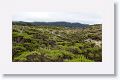 Garrapata State Park