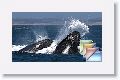 Day2-MontereyBay * (120 Slides)