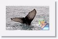 Day3-MontereyBay * (138 Slides)