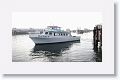 Out again on the Sea Wolf II