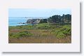 Ano Nuevo (New Year) State Park