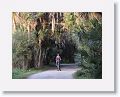 Pat biking on the cabin loop road.