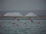 saltpans