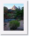 Parus trail starts at the Zion Visitor Center and follows the Virgin river to Canyon Junction.