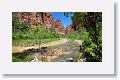 The hike to Temple of Sinawava is where the Narrows hike in the Virgin river starts. The water temp was 55F so we did not even try the Narrows this time.