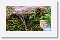 ZionWeepingRock * (18 Slides)