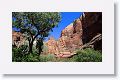 A popular stop is for the short hike to Weeping Rock.