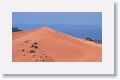 Outside of Kanab along US 89 was a sign for Coral Pink Sand Dunes state park. It sounded interesting so we took the 13 mile detour.