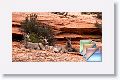 LeavingZion * (24 Slides)