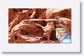 LakeMeadRecArea * (22 Slides)
