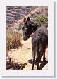 02CuscoToOllantaytambo-005