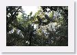 08ManuWildlifeCenter-004
