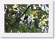 08ManuWildlifeCenter-006