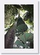 10CanopyTowerTrek-026