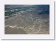 16NazcaLines-013