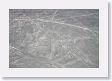 16NazcaLines-033