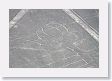 16NazcaLines-048