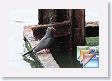 18CallaoHarbor * (35 Slides)