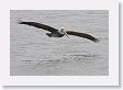 18CallaoHarbor-030
