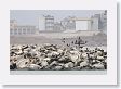 18CallaoHarbor-034