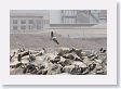 18CallaoHarbor-035