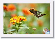 day08 * (166 Slides)