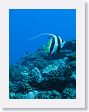 AnemoneCrater5