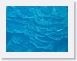 CoralWall3