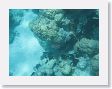 Aquarium9