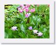 Novotel16 * A small water garden decorated the property. * A small water garden decorated the property.
