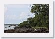 BirdIsland10