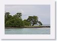 BirdIsland11