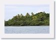 BirdIsland2