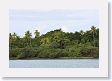 BirdIsland3