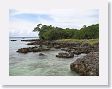 BirdIsland5