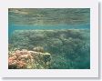 LagoonSnorkel2