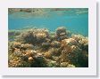 LagoonSnorkel4