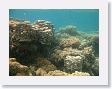 LagoonSnorkel5