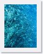 SharkHole3
