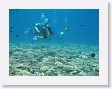 SharkHole34