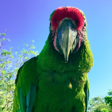 11-ElTuito